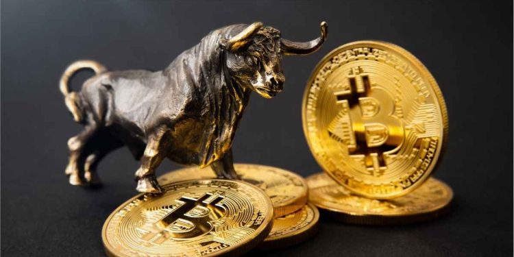 Crypto30x.com GG (2)