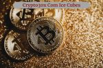 Crypto30x Com Ice Cubes
