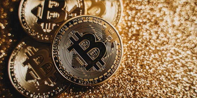 Crypto30x Com Ice Cubes