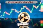 Crypto30x Com LoopNet