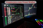 Crypto30x.com Pacman