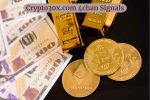 Crypto30x.com 4chan Signals