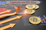 Crypto30x.com BTC Price