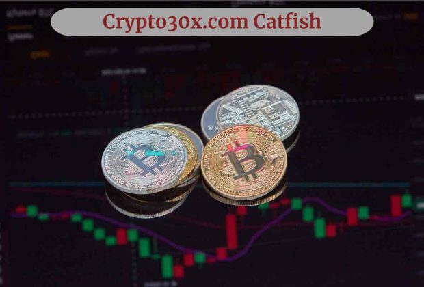 Crypto30x.com Catfish