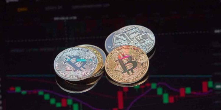 Crypto30x.com Catfish
