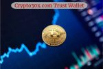 Crypto30x.com Trust Wallet
