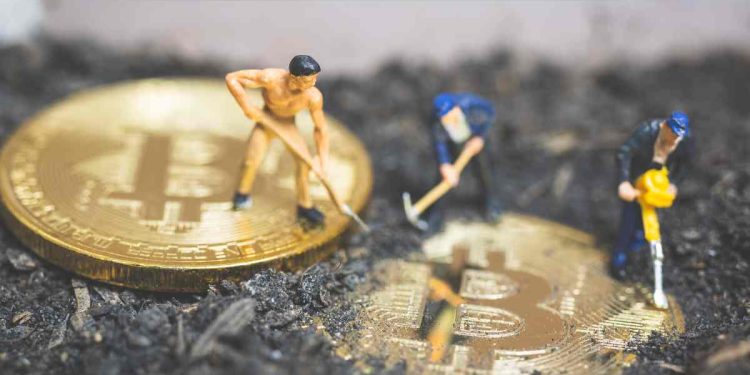 crypto30x.com Pandora